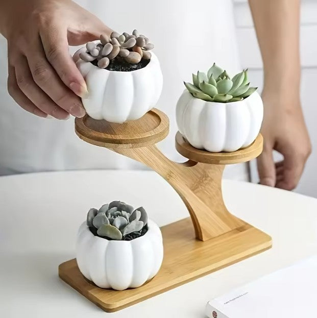 2-laags Bamboe Opbergstandaard – Compact & Stijlvol Voor Keuken, Badkamer of Bureau 4